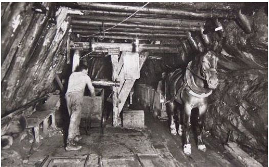 Pferdeförderung im Bergwerk Hausham